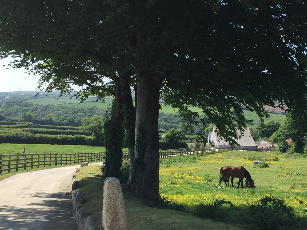Treveighan Farmhouse Saint Teath Esterno foto