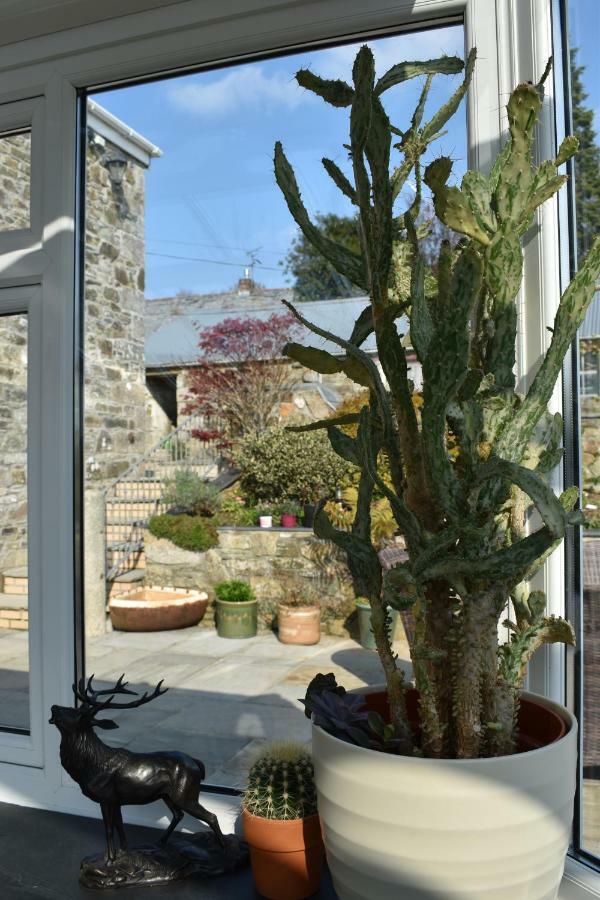 Treveighan Farmhouse Saint Teath Esterno foto